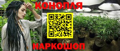 гидропоника Краснодар