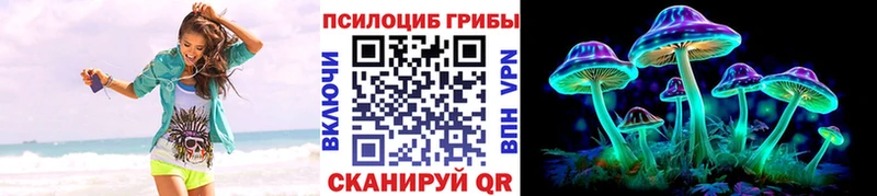 darknet наркотические препараты Кисловодск Галлюциногенные грибы GOLDEN TEACHER где найти наркотики