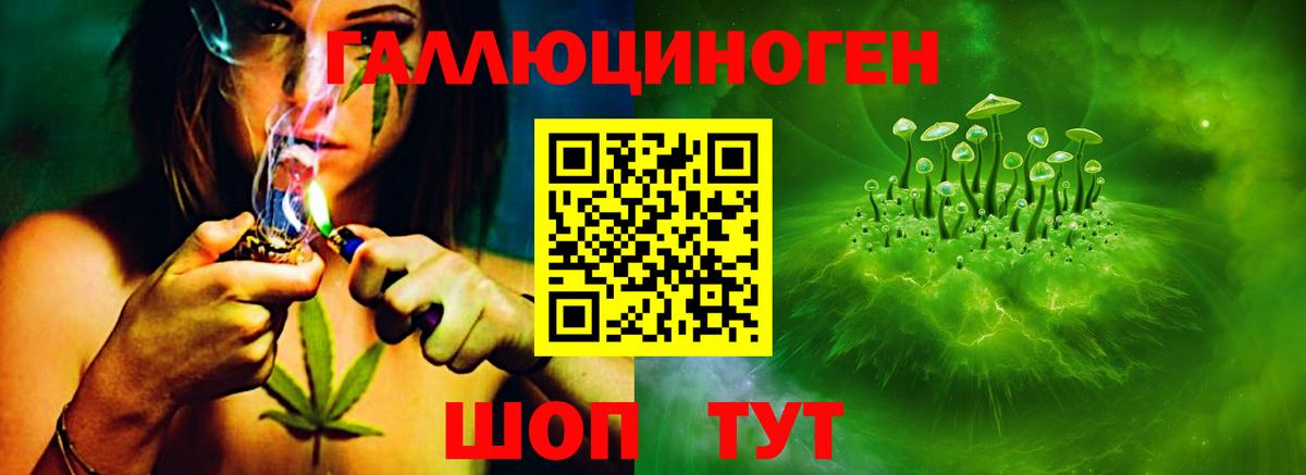 Кисловодск  что такое наркотик  Вход с VPN  Псилоцибиновые грибы MAGIC MUSHROOMS  Галлюциногенные грибы мухоморы 